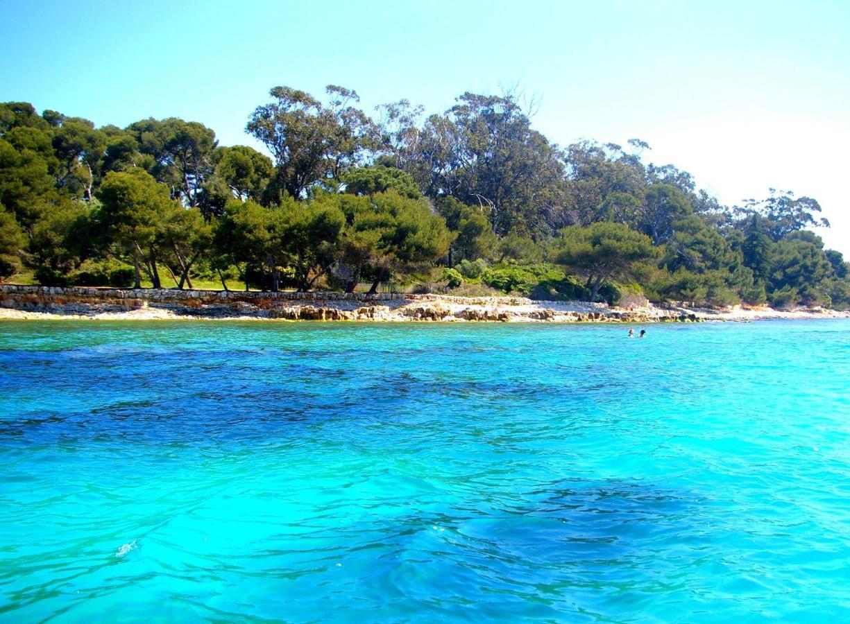 Magnifique "Gite De La Garoupe" Au Cap D'Antibes A 300M Des Plages Bagian luar foto